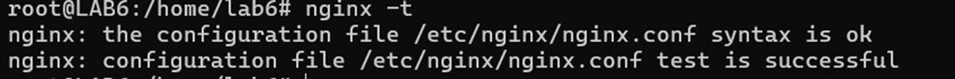 Validation config Nginx