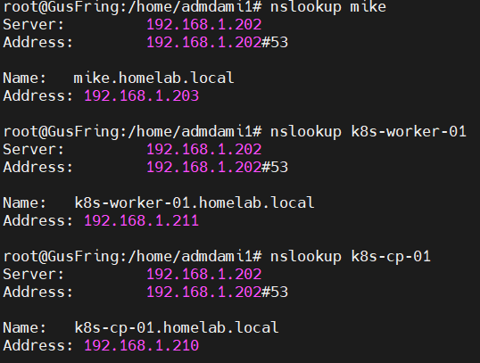Tests requêtes DNS